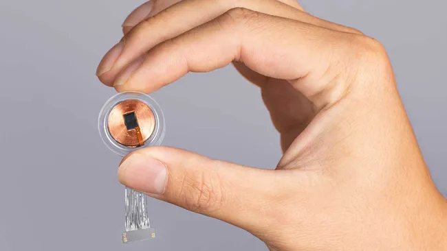brain implant chips